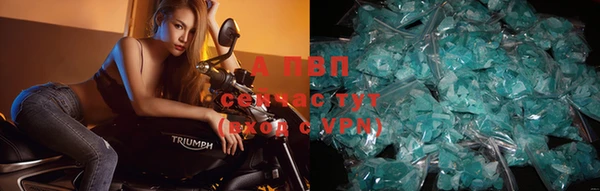 таблы Богданович