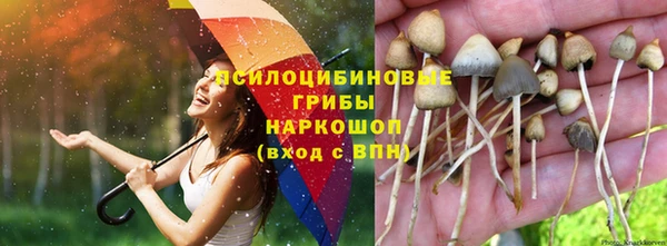 соль ск Абаза