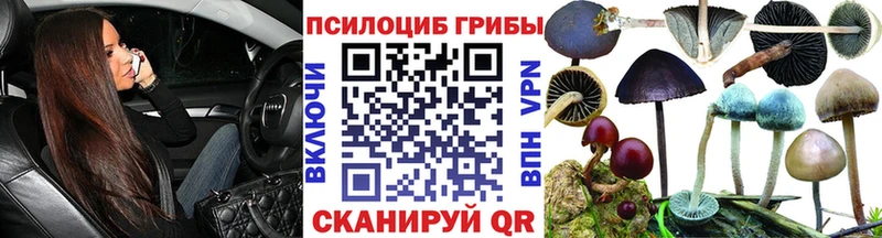 Псилоцибиновые грибы GOLDEN TEACHER Белоусово